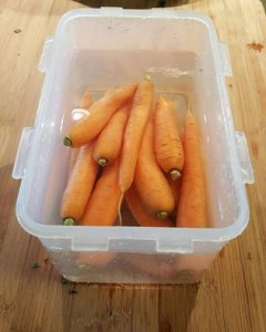 carrots in water organic fresh