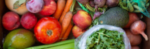 farm delivery box