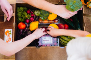 picture of hands reaching into a box of strawberries, with watermelon and other veggies too