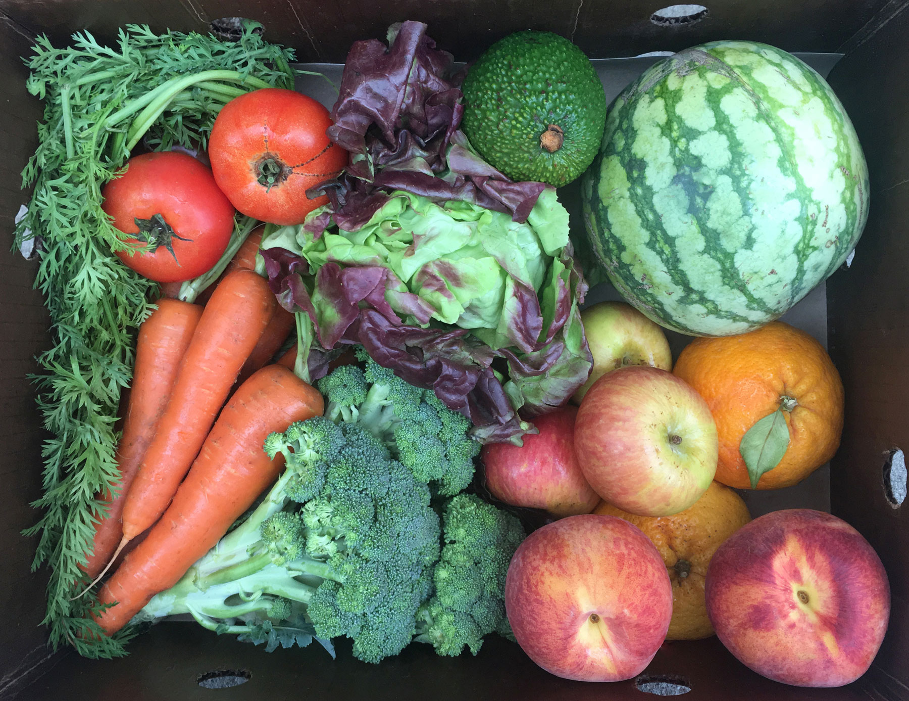 farm box with carrots, watermelon, peaches, lettuce and more. Half box size is the most popular