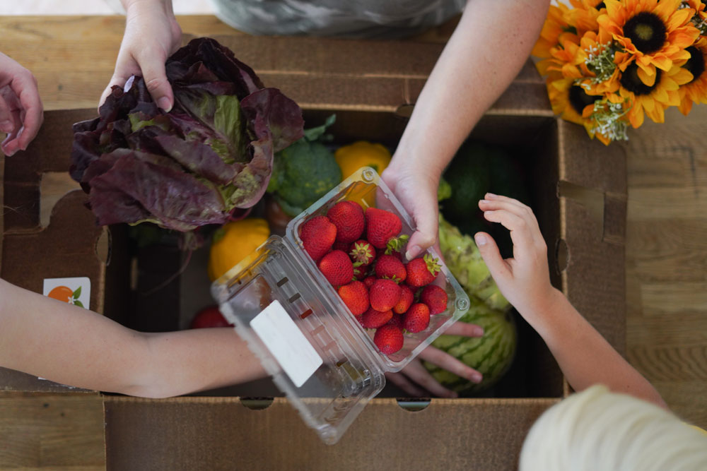 overhead view of a family going through their produce box holding up strawberreis